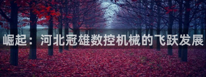 天辰娱乐总管年薪