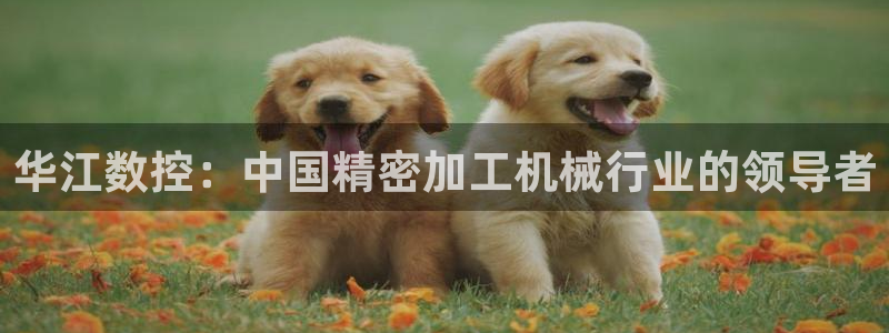 天辰娱乐官方网