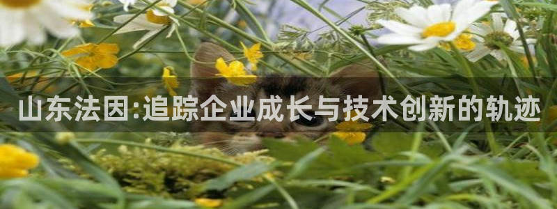 天辰娱乐棋牌