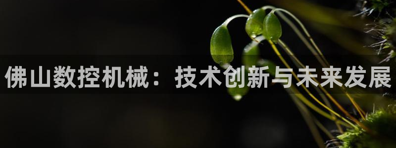 辰天娱乐用品