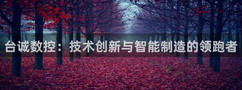 天辰娱乐怎么样