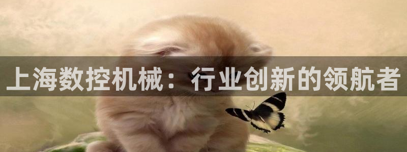 天辰娱乐股票