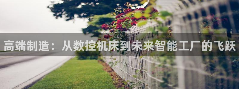 天辰娱乐51137