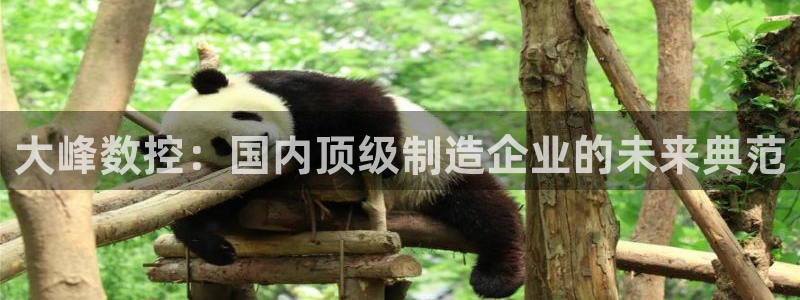 天辰娱乐国际