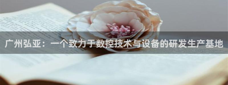 天辰娱乐股票