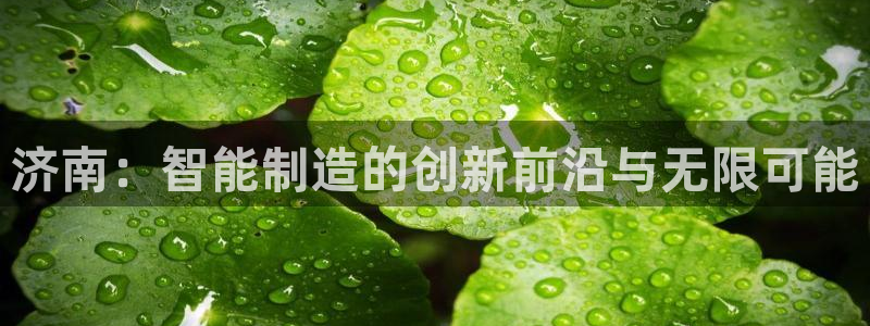 天辰娱乐白屏