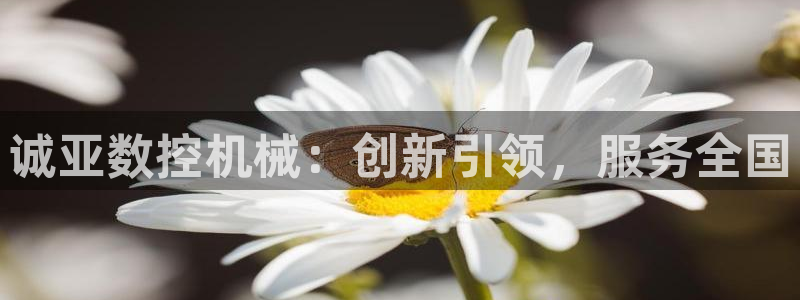 天辰娱乐海洋