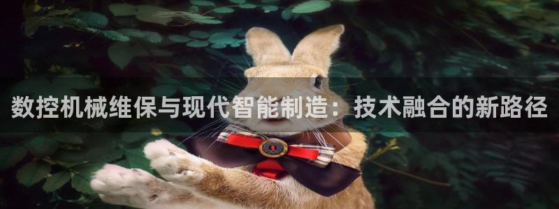 天辰娱乐客服