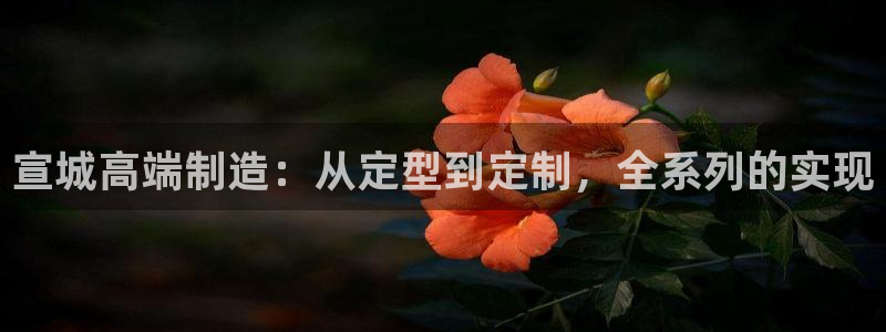 天富娱乐天辰娱乐
