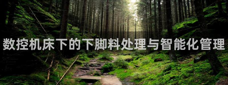 天辰娱乐总管