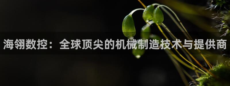 天辰娱乐天辰注册登录