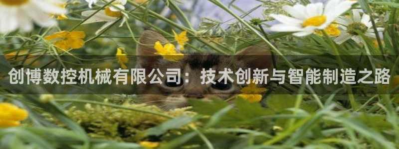 天辰娱乐44516