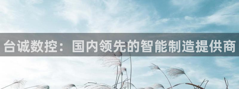 天辰娱乐上级