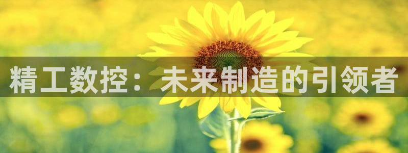 天辰娱乐招商