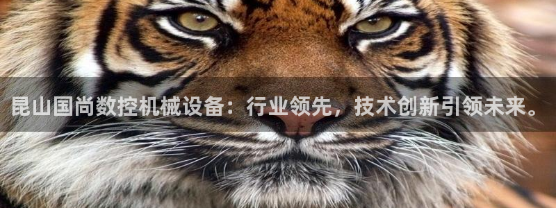 天辰娱乐新