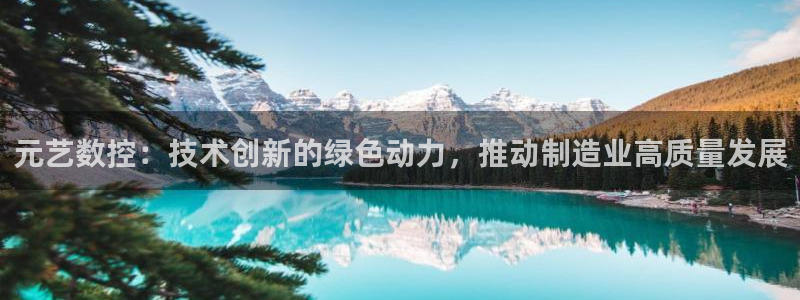 天辰娱乐 . 鱼刺
