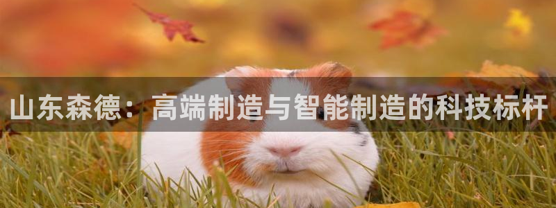 下载天辰娱乐