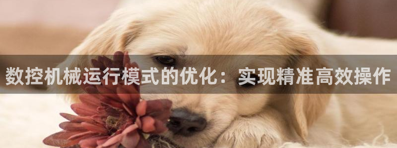 天辰娱乐 qq