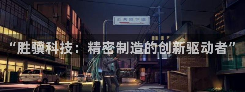 天辰娱乐公司