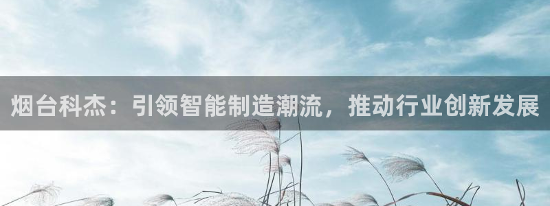 手机上怎么下载天辰娱乐