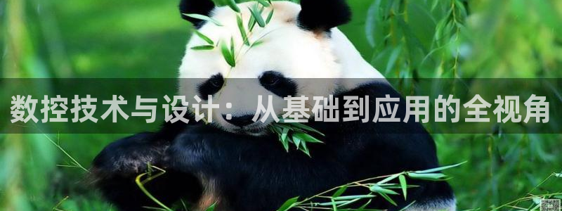 天辰娱乐官方登录入口