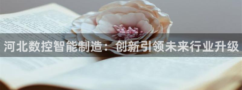 天辰娱乐557448
