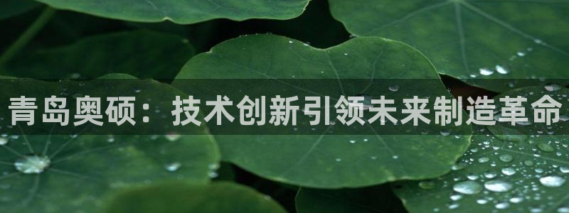 广东天辰娱乐