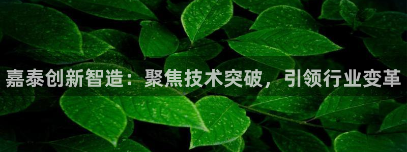 天辰娱乐官网平台入口