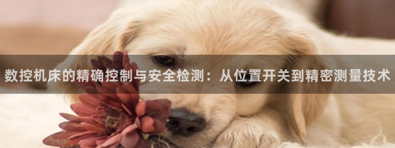 天辰娱乐平台安全吗