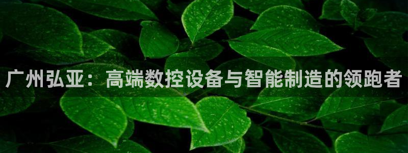 天辰娱乐海洋
