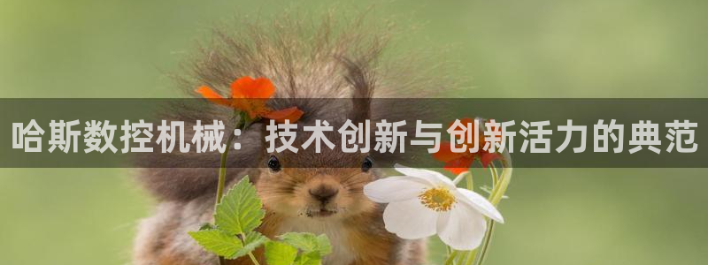 天辰(娱乐注册