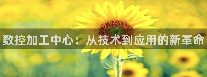 天辰娱乐平台注册