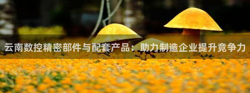 哈尔滨天辰娱乐