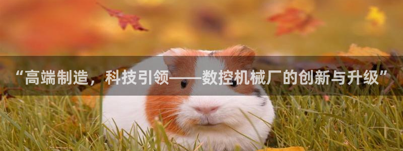 天辰娱乐官方登录下载