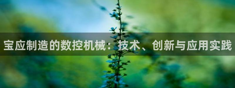 天辰娱乐股东