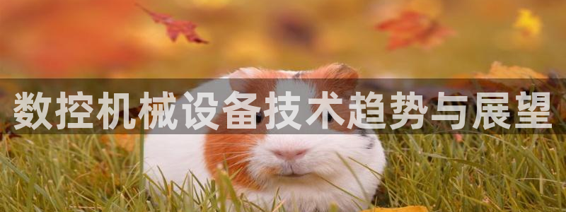 天辰娱乐会员