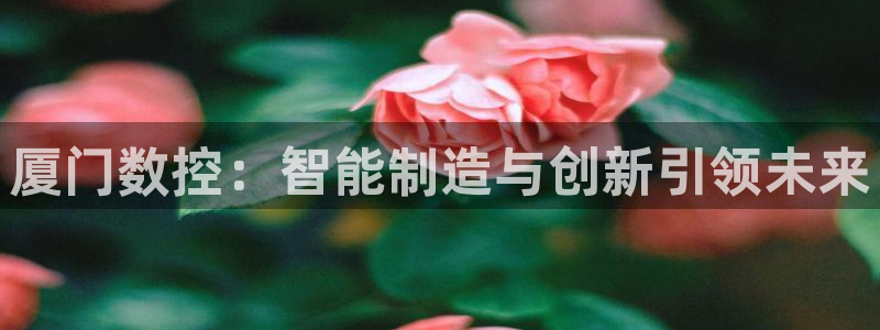 天辰娱乐说