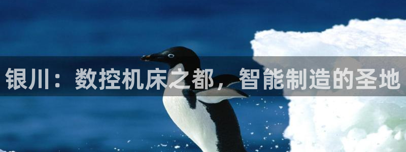 天辰娱乐论坛