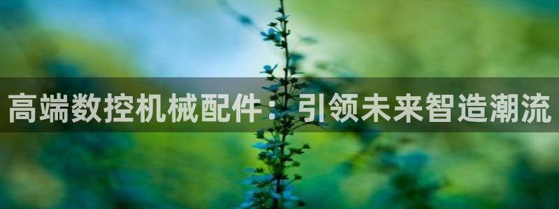 天辰娱乐新