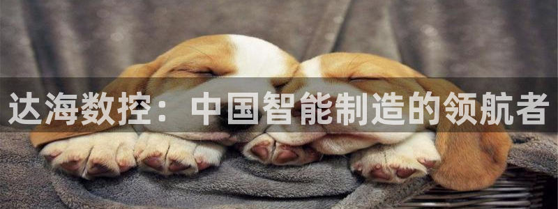 天辰娱乐小姐