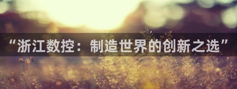 天辰娱乐 注册：“浙江数控：制造世界的创新之选”