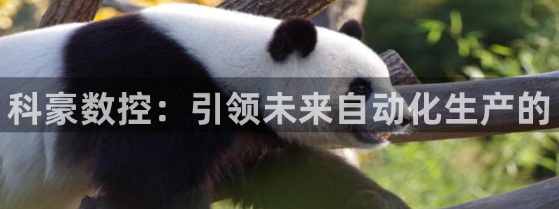 天辰娱乐咋样