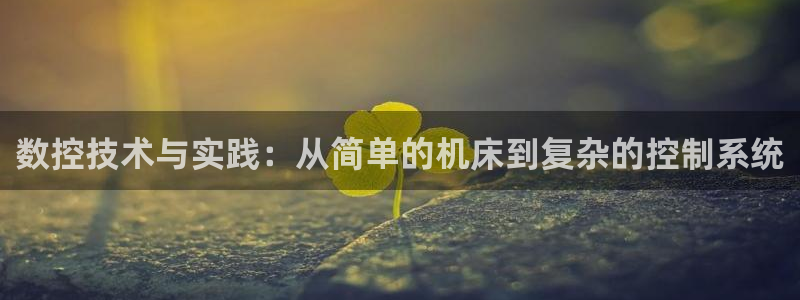 天辰娱乐集团
