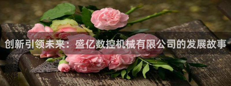 天辰娱乐输了