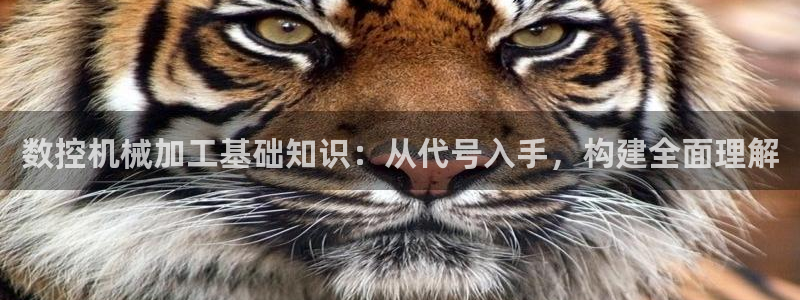 南充天辰娱乐
