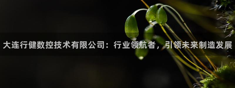 天辰a娱乐