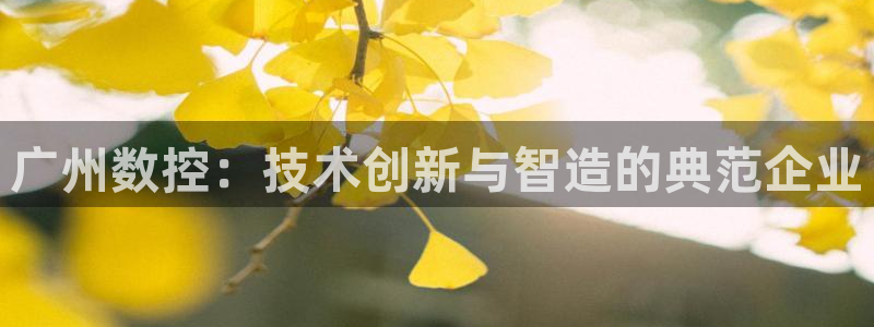 天辰娱乐元宝
