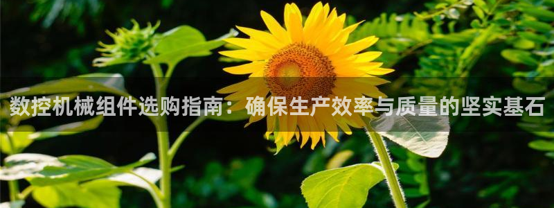 天辰娱乐557448