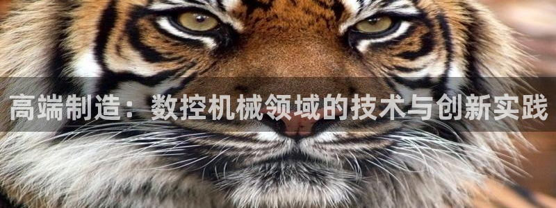 天辰娱乐平台地址在哪里