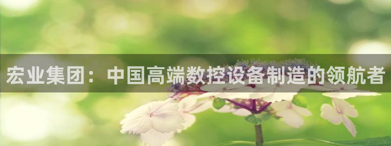 天辰娱乐小妹